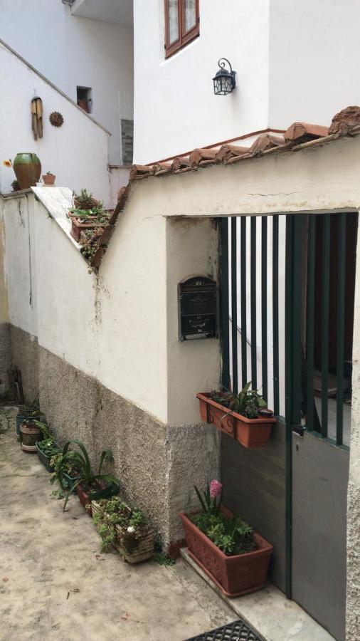 Casa Vacanze Rosa Blu Giffoni Valle Piana Esterno foto